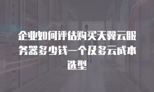 企业如何评估购买天翼云服务器多少钱一个及多云成本选型