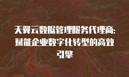 天翼云数据管理服务代理商：赋能企业数字化转型的高效引擎
