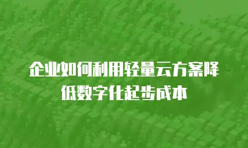 企业如何利用轻量云方案降低数字化起步成本