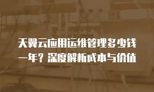 天翼云应用运维管理多少钱一年？深度解析成本与价值