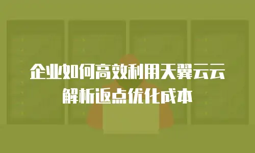 企业如何高效利用天翼云云解析返点优化成本
