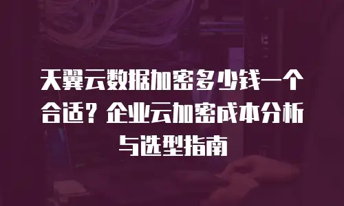 天翼云数据加密多少钱一个合适？企业云加密成本分析与选型指南