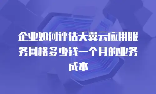企业如何评估天翼云应用服务网格多少钱一个月的业务成本