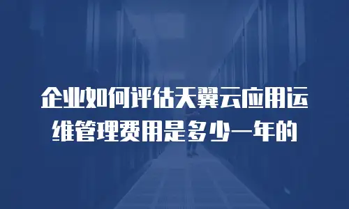 企业如何评估天翼云应用运维管理费用是多少一年的