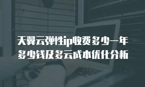 天翼云弹性ip收费多少一年多少钱及多云成本优化分析