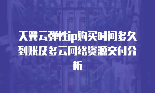 天翼云弹性ip购买时间多久到账及多云网络资源交付分析