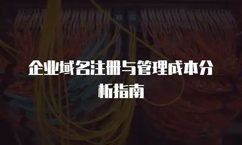 企业域名注册与管理成本分析指南