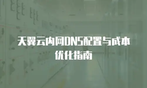 天翼云内网DNS配置与成本优化指南