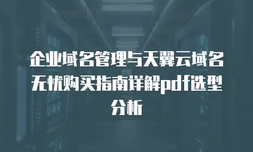 企业域名管理与天翼云域名无忧购买指南详解pdf选型分析