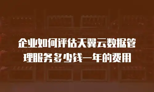 企业如何评估天翼云数据管理服务多少钱一年的费用