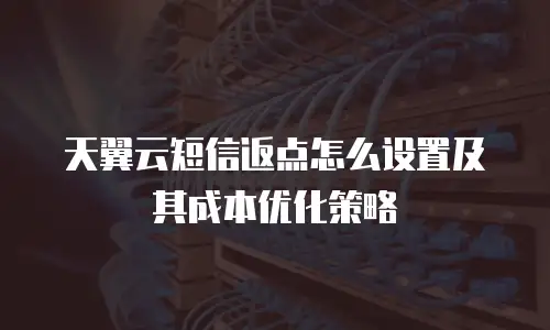天翼云短信返点怎么设置及其成本优化策略