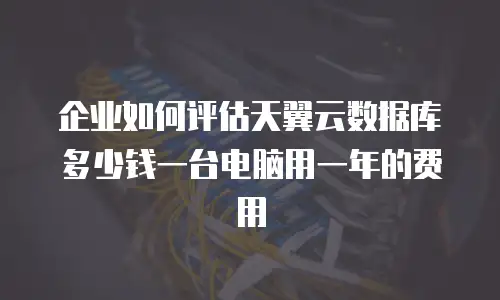 企业如何评估天翼云数据库多少钱一台电脑用一年的费用
