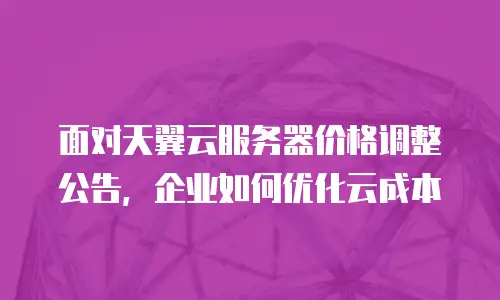面对天翼云服务器价格调整公告，企业如何优化云成本