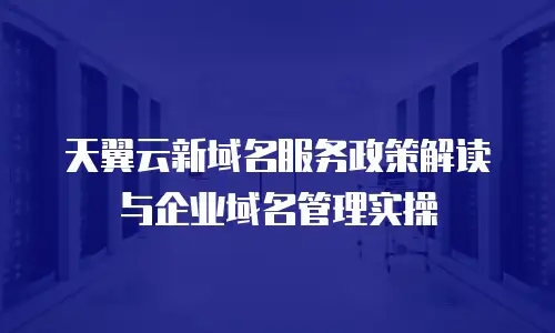 天翼云新域名服务政策解读与企业域名管理实操