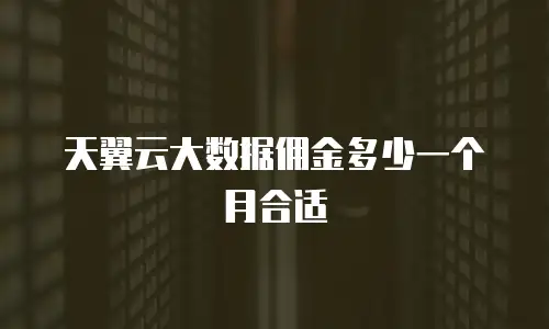 天翼云大数据佣金多少一个月合适