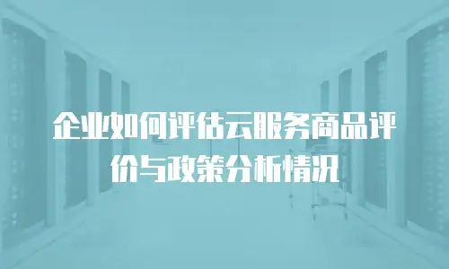 企业如何评估云服务商品评价与政策分析情况