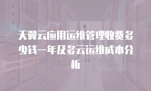 天翼云应用运维管理收费多少钱一年及多云运维成本分析