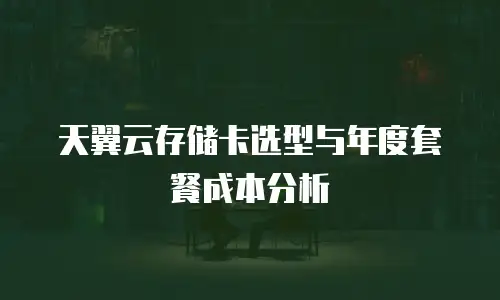 天翼云存储卡选型与年度套餐成本分析