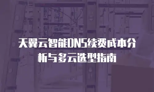 天翼云智能DNS续费成本分析与多云选型指南