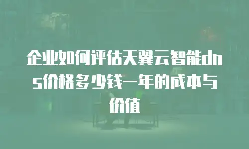 企业如何评估天翼云智能dns价格多少钱一年的成本与价值