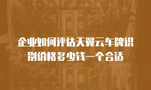 企业如何评估天翼云车牌识别价格多少钱一个合适