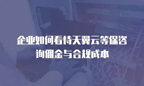 企业如何看待天翼云等保咨询佣金与合规成本