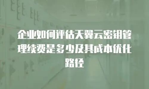 企业如何评估天翼云密钥管理续费是多少及其成本优化路径
