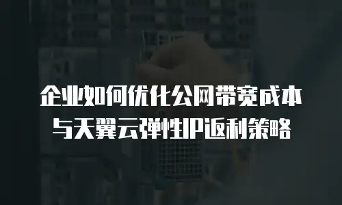 企业如何优化公网带宽成本与天翼云弹性IP返利策略
