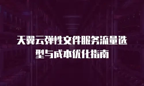 天翼云弹性文件服务流量选型与成本优化指南