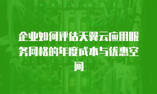 企业如何评估天翼云应用服务网格的年度成本与优惠空间