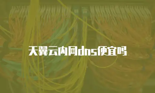 天翼云内网dns便宜吗