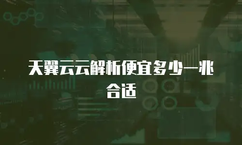 天翼云云解析便宜多少一兆合适