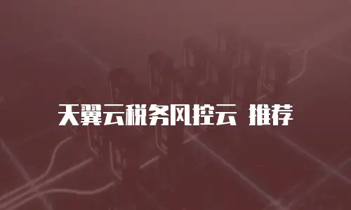 天翼云税务风控云 推荐