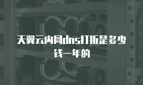 天翼云内网dns打折是多少钱一年的