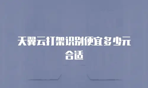 天翼云打架识别便宜多少元合适