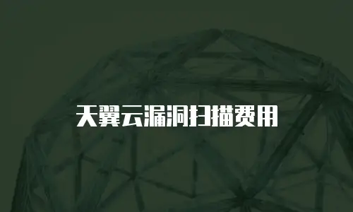 天翼云漏洞扫描费用