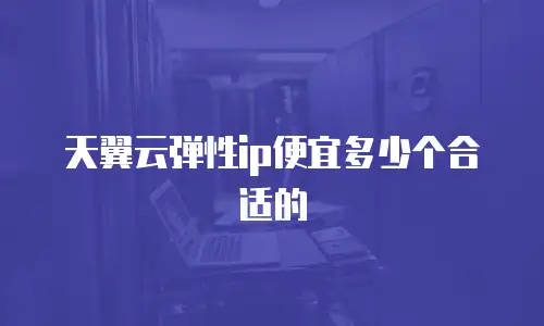 天翼云弹性ip便宜多少个合适的