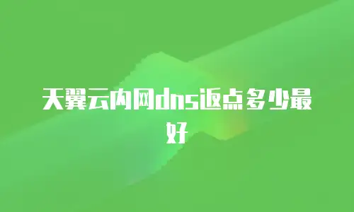 天翼云内网dns返点多少最好