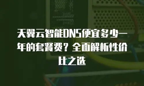 天翼云智能DNS便宜多少一年的套餐费？全面解析性价比之选