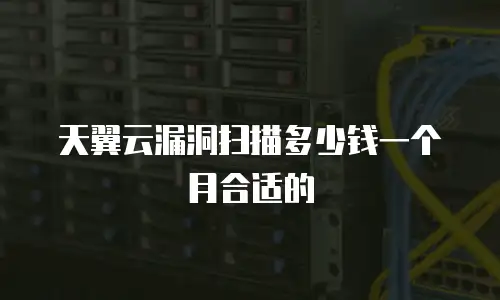 天翼云漏洞扫描多少钱一个月合适的