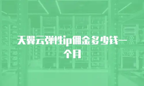 天翼云弹性ip佣金多少钱一个月
