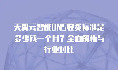 天翼云智能DNS收费标准是多少钱一个月？全面解析与行业对比