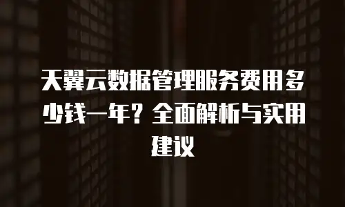 天翼云数据管理服务费用多少钱一年？全面解析与实用建议