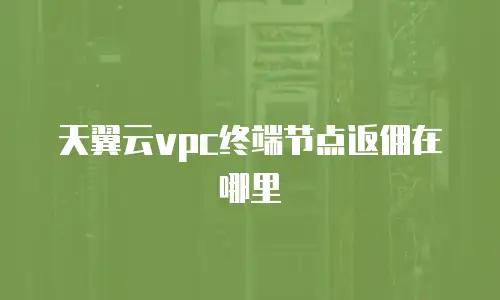 天翼云vpc终端节点返佣在哪里