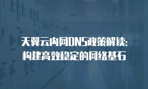 天翼云内网DNS政策解读：构建高效稳定的网络基石