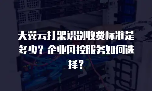 天翼云打架识别收费标准是多少？企业风控服务如何选择？