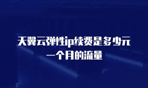 天翼云弹性ip续费是多少元一个月的流量