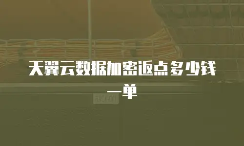 天翼云数据加密返点多少钱一单