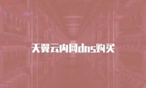 天翼云内网dns购买