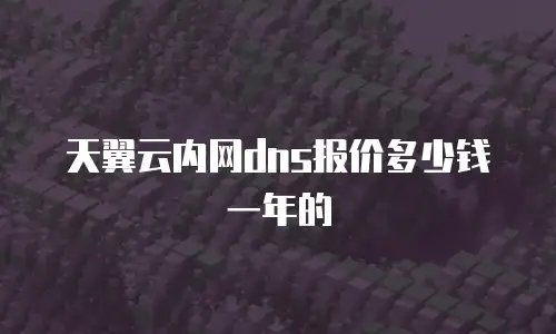 天翼云内网dns报价多少钱一年的